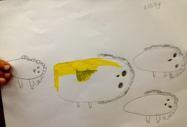 Abbey flock of chickens