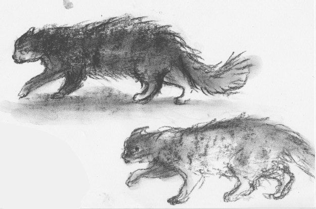 baleful cat sketches 1