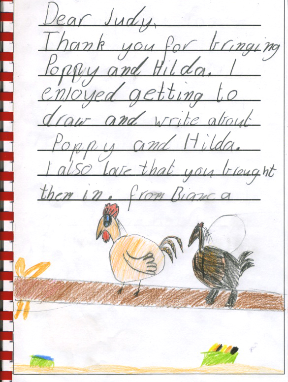 chicken thank you - Bianca