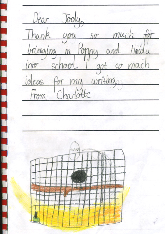 chicken thank you - Charlotte