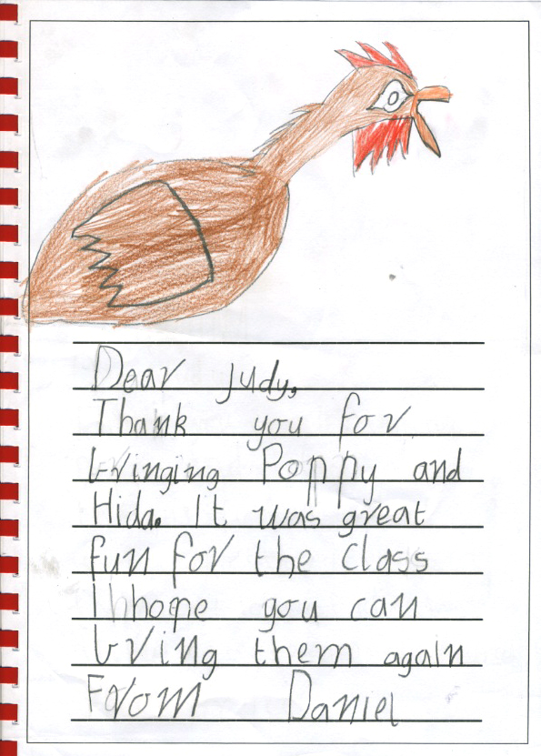 chicken thank you - Daniel G