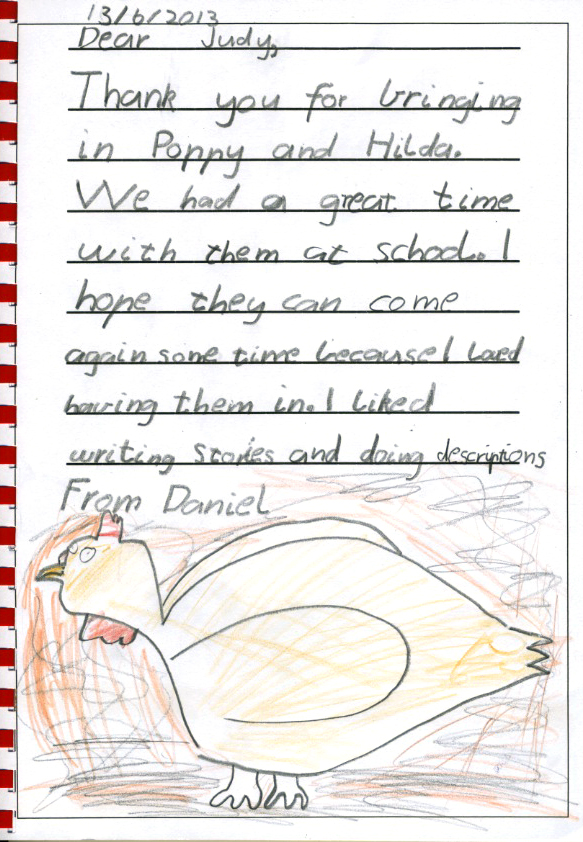 chicken thank you - Daniel