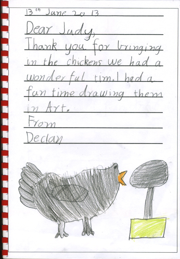 chicken thank you - Declan