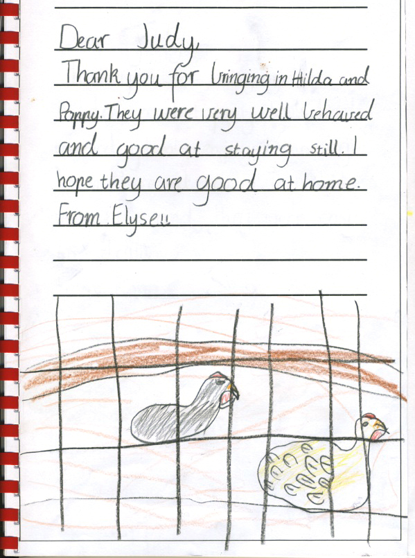 chicken thank you - Elyse