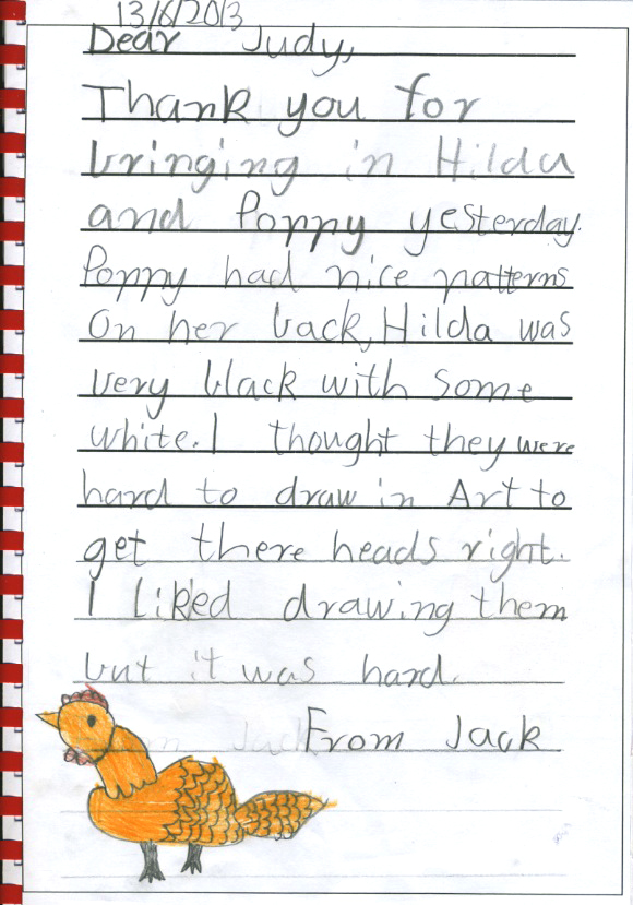 chicken thank you - Jack D