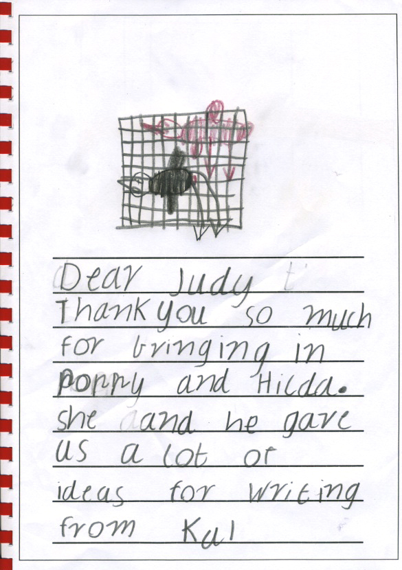 chicken thank you - Kai