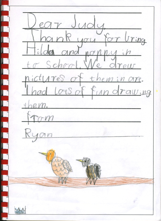 chicken thank you - Ryan