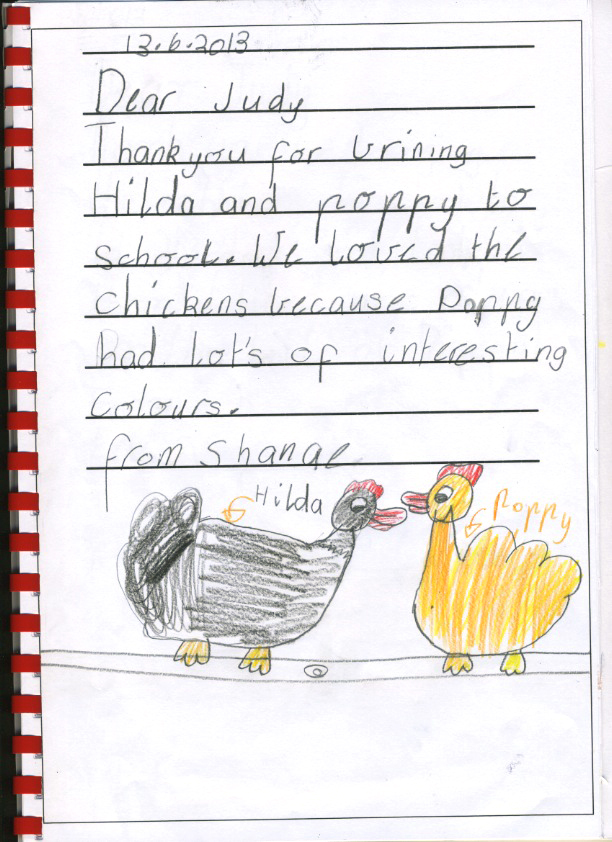 chicken thank you - Shanae