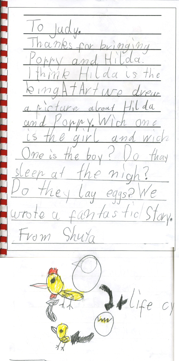 chicken thank you - Shuta