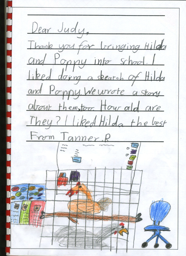 chicken thank you - Tanner