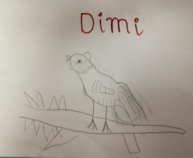 Dimi