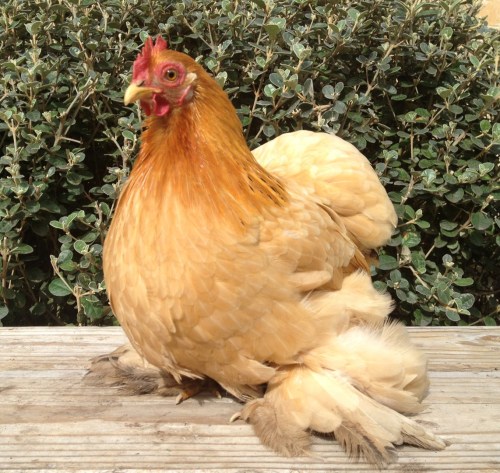 Emily half profile looking discomfited