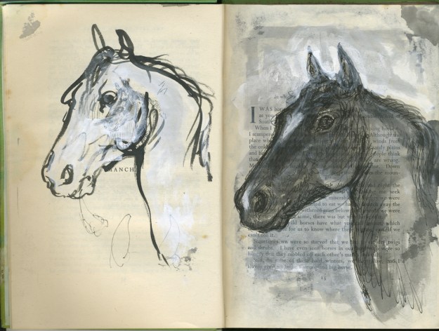 equine soliloquy B&W heads