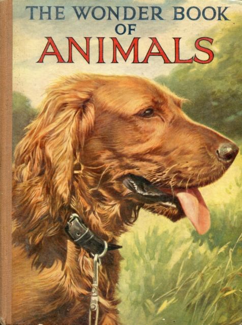 The Wonder Book of Animals: both drawn in and drawn from 