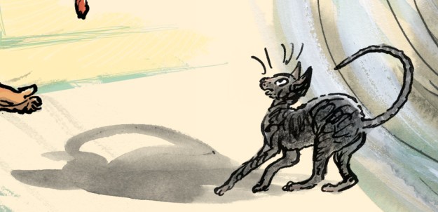 Cat called Thunder alarmed