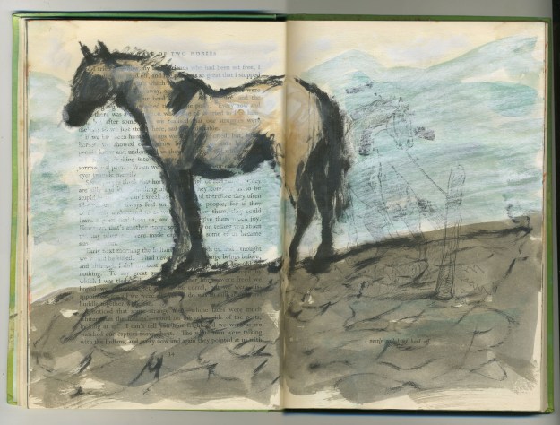 wild horse, captured horse