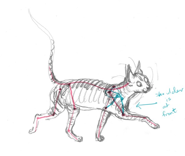 My improvised sketch to alter the viewer's angle of Thunder and my guesses at the location of the joints. I was wrong about the shoulder as I found out later.