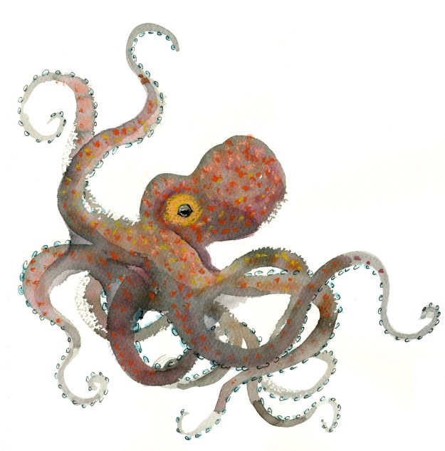 octo cleaned up lores