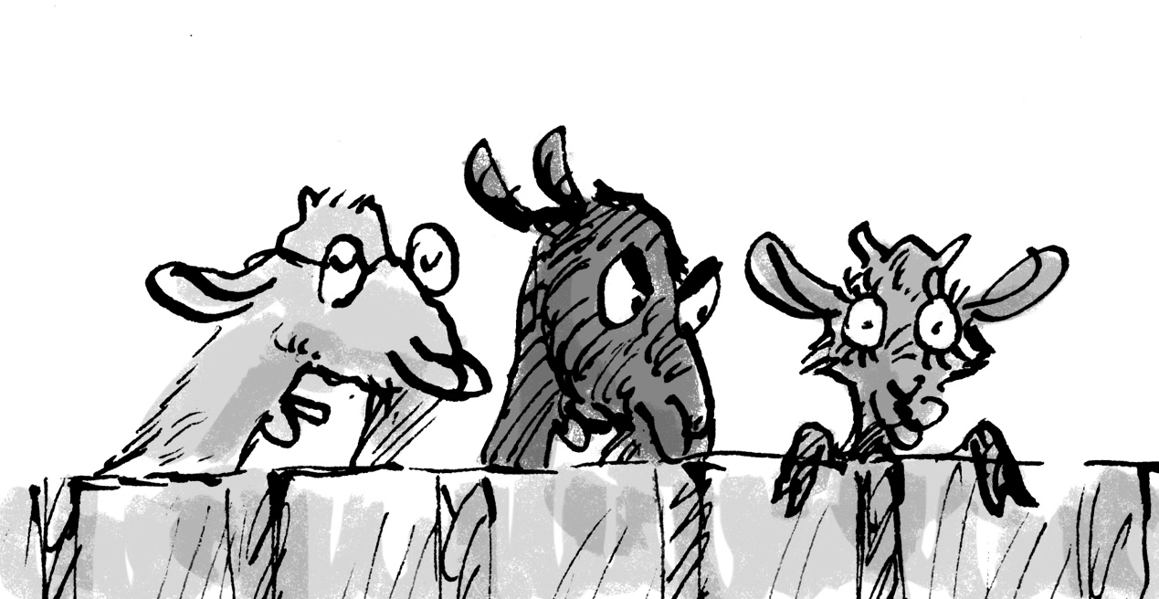 Three goat siblings I drew for 'The Middle Sheep' by Frances Watts