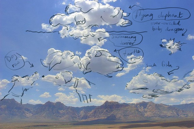 bizarre cloud animals