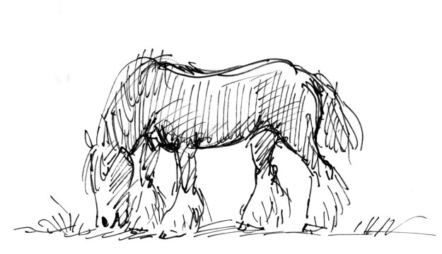 clydesdale judywatsonart lores