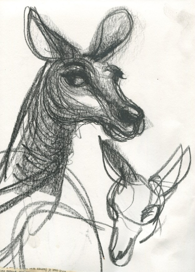 greyfur study 1lores