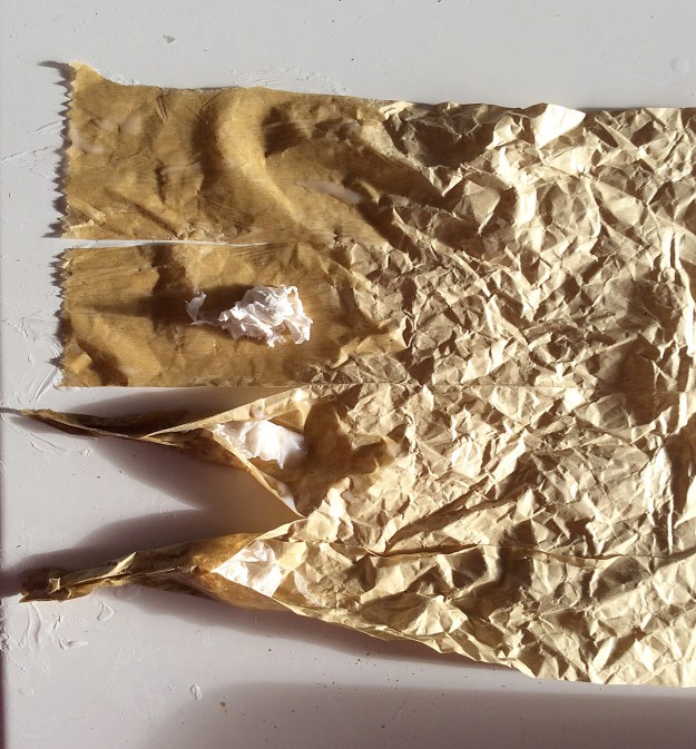 paw1 underside 2 claws