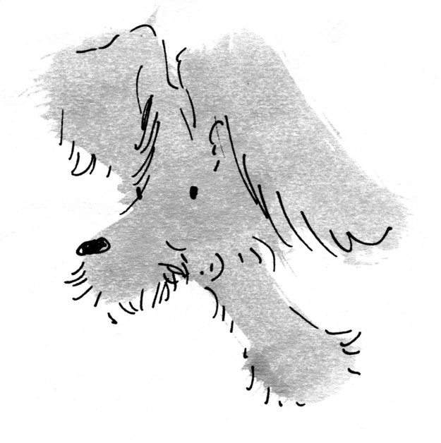 bouffant dog judywatsonart lores