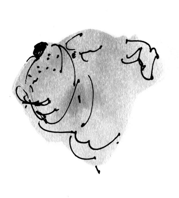 bulldog judywatsonart lores