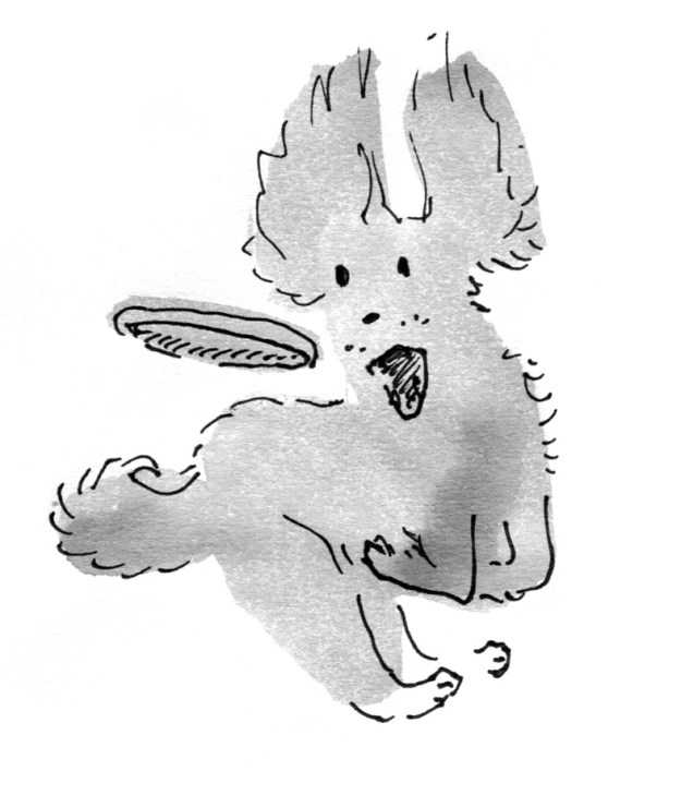 This will not end well