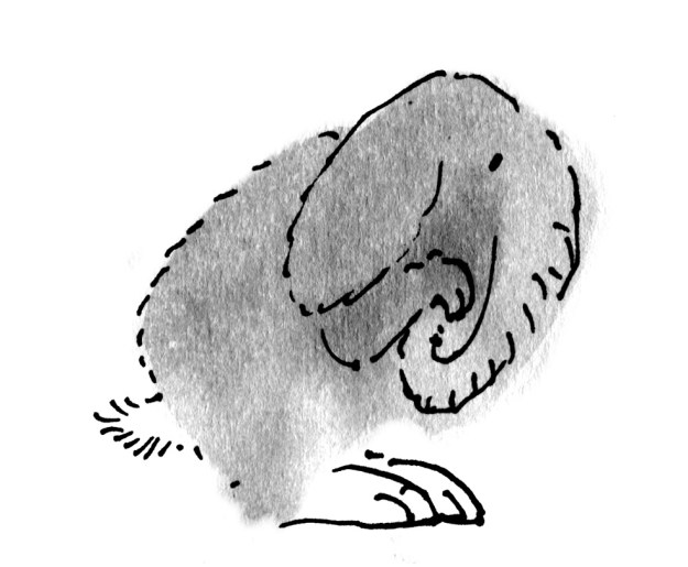 rabbit-elephant judywatsonart lores