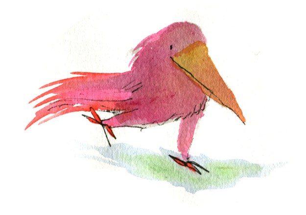 chirpy judywatsonart lores