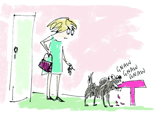 knawty flat judywatsonart lores