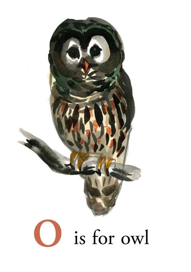 o is for owl judywatsonart lores