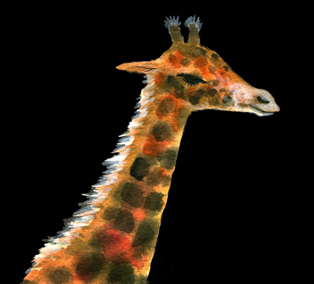 Tomi Giraffe contrasty head judywatsonart lores