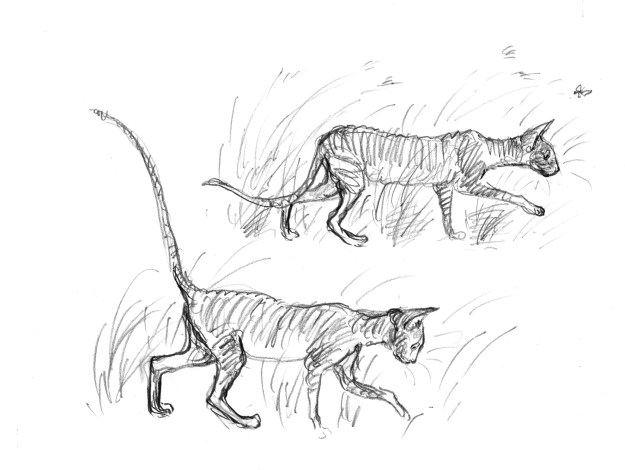 cornish cats in the grass judywatsonart lores