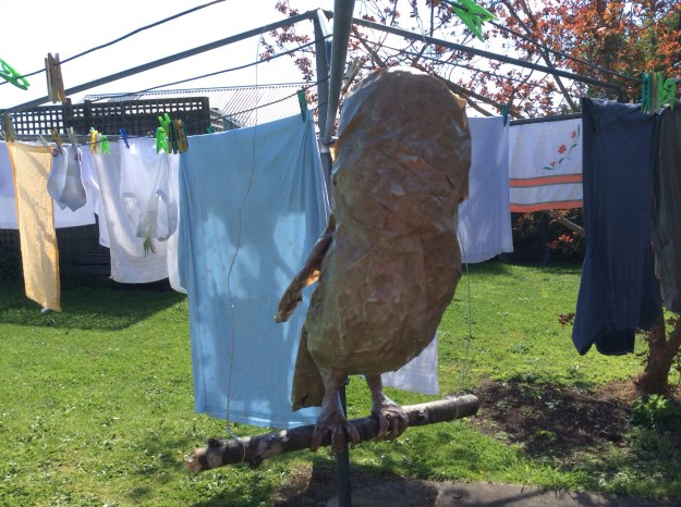 I hope you are enjoying all these photos of the washing. Where would we Australian's be without the marvellous 'Hills Hoist' clothes line?