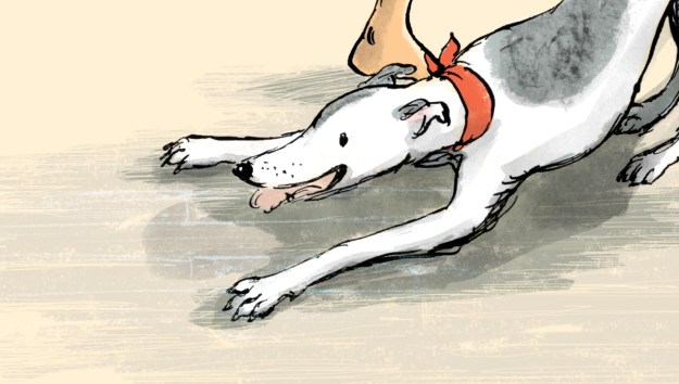 lucyt and floorboards