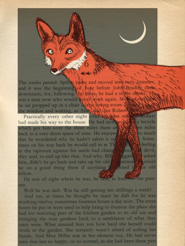 The Fox with the No.6 Tattoo