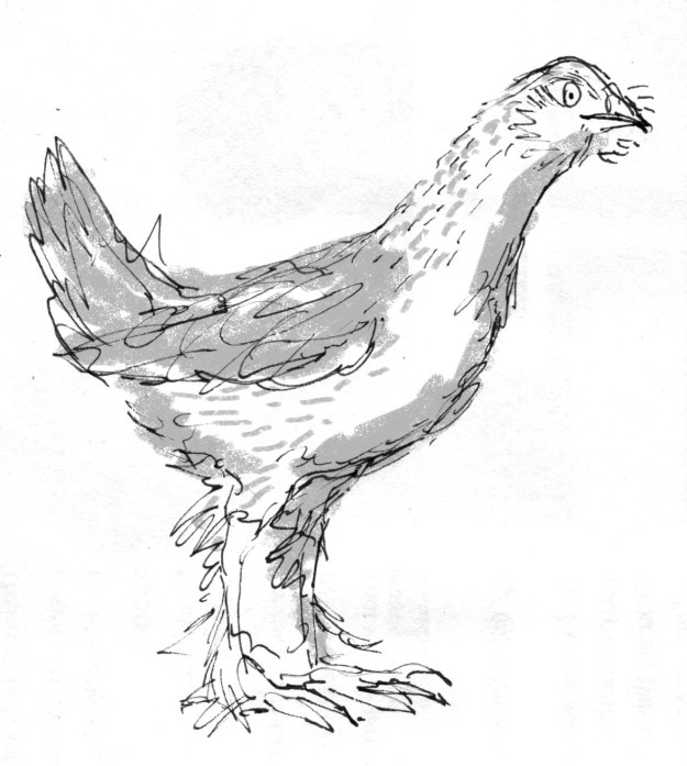 Not unlike my Border Terrier of years ago, she has a distinctive habit of craning her neck.