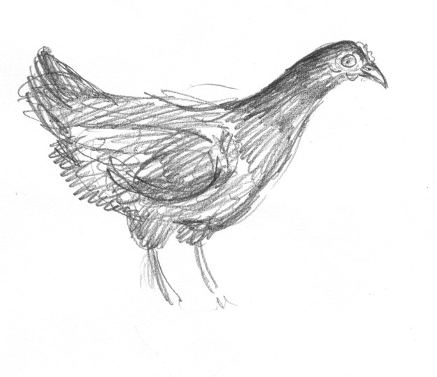 Taming Leia dont catch me lo-res