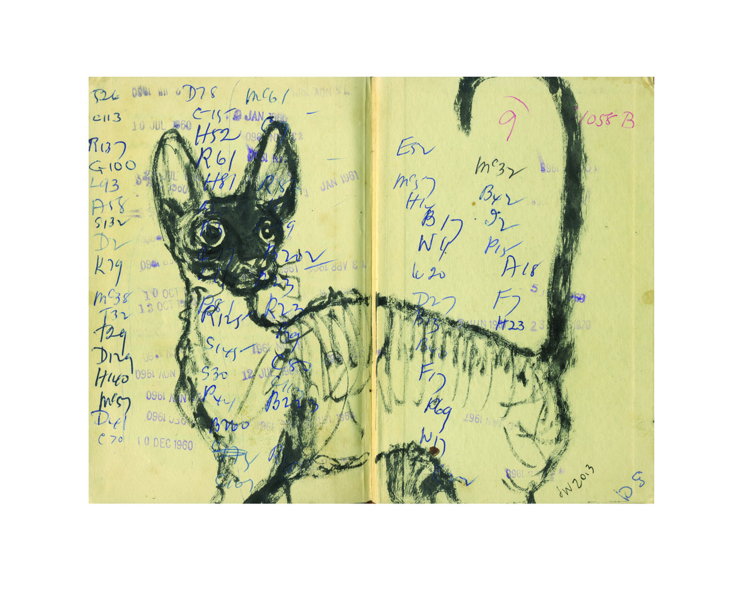 Cornish library tick cat lores JudyWatsonArt