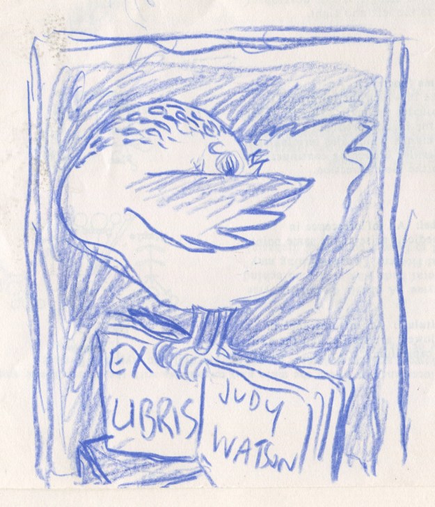 bookplate prelimiinary doodle judywatsonart