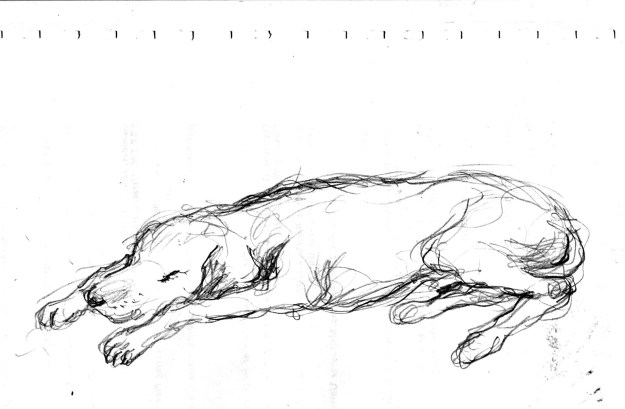brain doodle dog sleeping