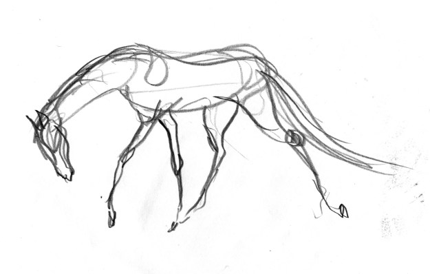 brain doodle horse single pale moving