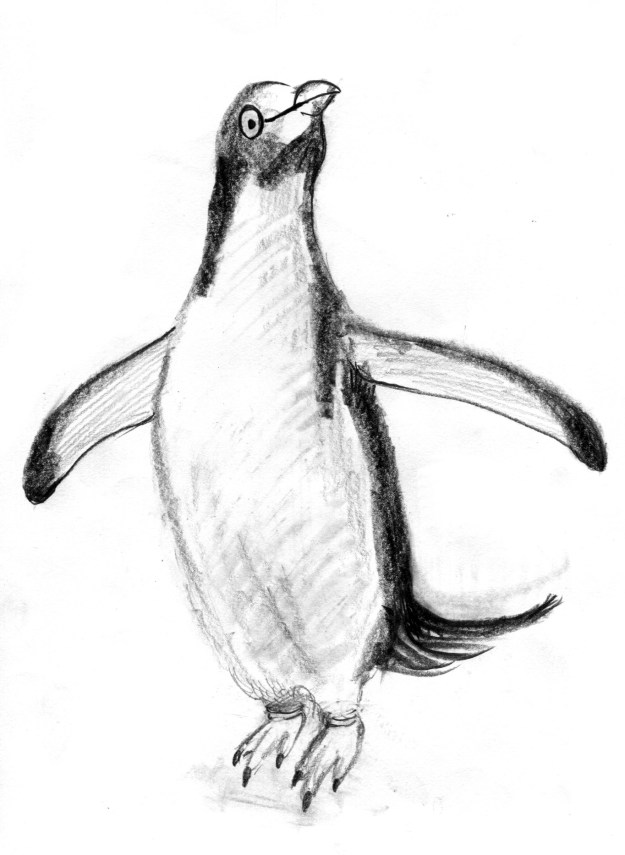 penguin very first pencil sketch