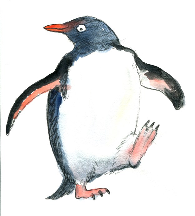 the rather dull penguin