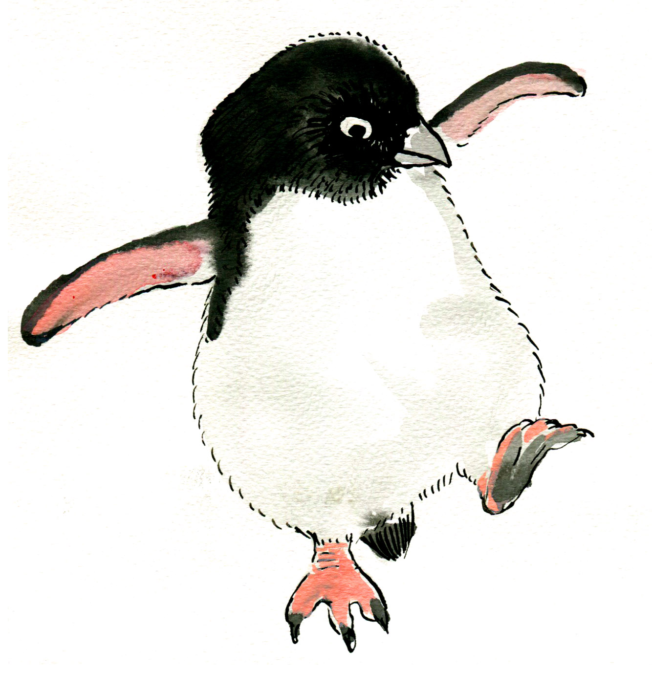the rather dull small fluffy penguin