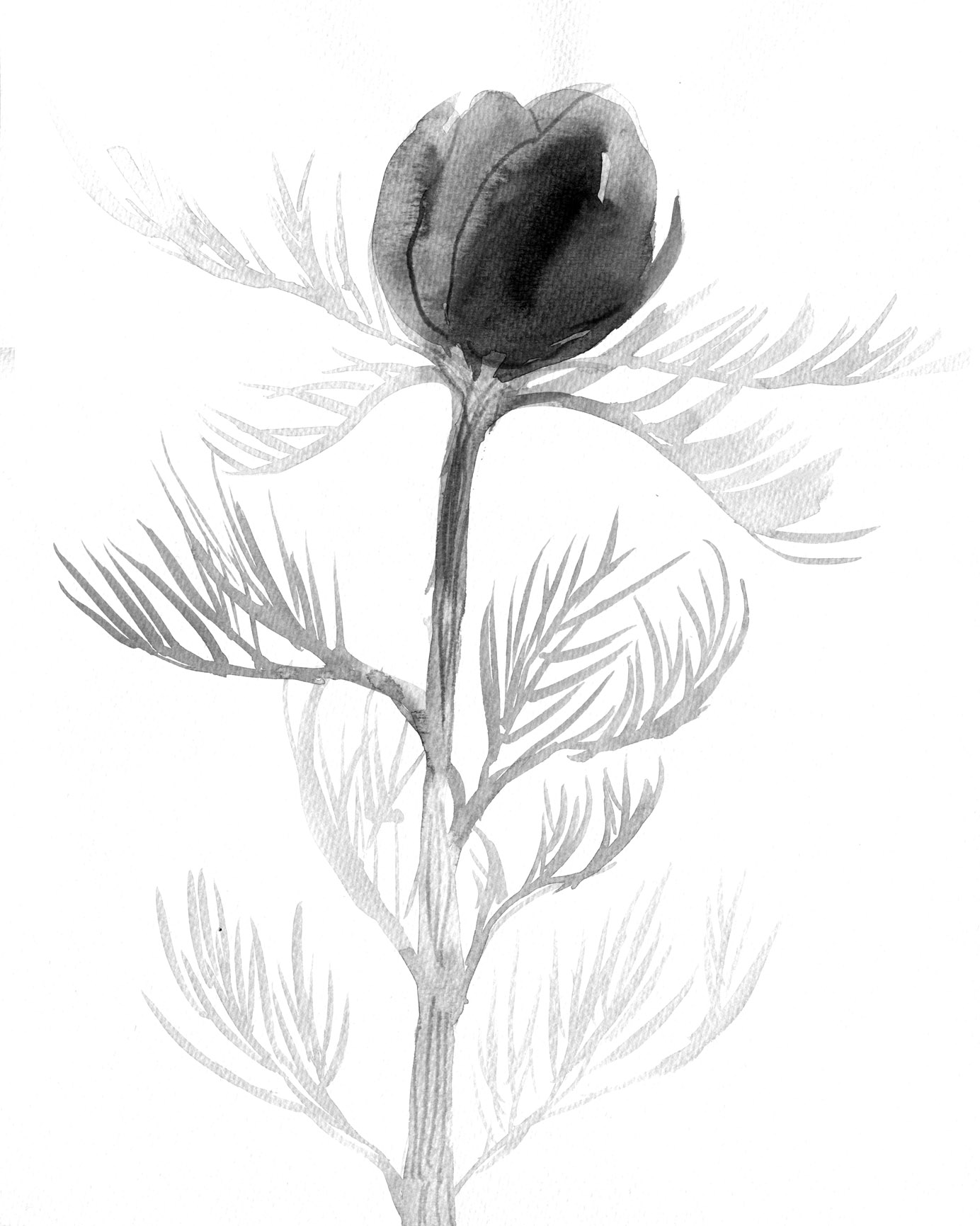 flower tester levels lores