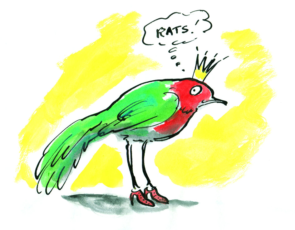 pen and ink rats lores